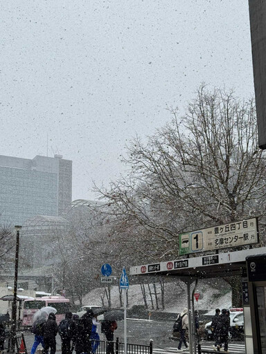 罕見3月雪！日本東京發大雪警報 部分電車計畫性停駛