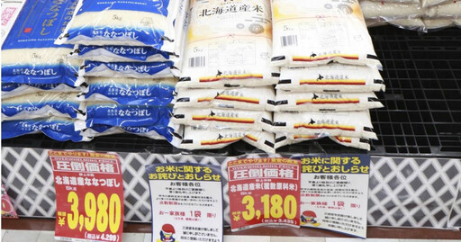 米價暴漲!家庭主婦飛韓國買米回日本 她笑:只能當重訓