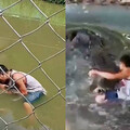 男子把鱷魚誤認成雕像！上前自拍遭攻擊 縫50多針險喪命