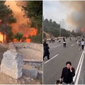 建國以來最嚴重野火釀13傷 以色列政府急向國際求援