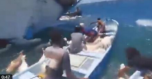 2千隻羊海上漂浮!業主貪心超載釀貨船翻覆 上千隻等不到救援淪亡魂