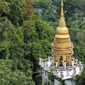 俄羅斯遊客亂吃泰國野果 7人出現胸悶嘔吐症狀急送醫