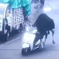 路邊驚見公牛偷摩托車「騎上去」撞牆 獵奇畫面曝！網分析1可能