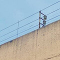 美國5起死刑失敗案例曝光 囚犯被3顆子彈貫穿…沒擊中心臟「4分鐘才死亡」