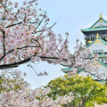 日本「夫妻選擇單獨姓氏制度」法案延後推動 國會通過機率渺茫
