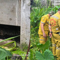 嬰兒遭2公尺長巨蜥啃食！遺體剩頭部軀幹 警方追查其母親身分
