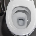肚子痛想上大號！ 她一坐馬桶「下體掉出嬰兒」：不知道懷孕了