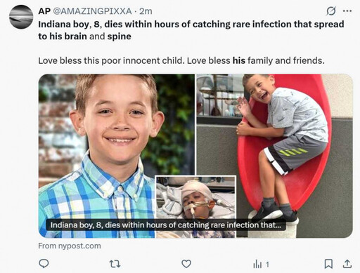 8歲男童放學喊頭痛!一覺醒來命沒了 罕見細菌侵腦「不到24小時身亡」
