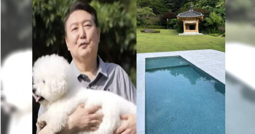 南韓前總統尹錫悅疑動用公帑寵毛孩 官邸重金打造「狗狗泳池」