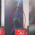 妙齡女私闖鐵軌「蹲下上廁所」 來不及逃跑！慘遭進站列車撞死