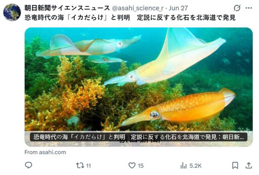 白堊紀海洋竟是魷魚天下 北海道大學團隊用新技術找到263件化石