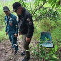 養10年愛犬去世 翁親自挖墓埋葬突倒地！下秒離奇猝死狗狗身旁