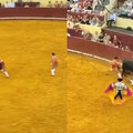鬥牛場成驚悚奪命煉獄 葡萄牙22歲新人鬥牛士遭牛角重擊慘死