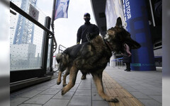 南韓「假恐攻」通報暴增！警消今年無效出動近3000場 擬修法「嚴懲報假案者」