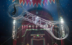 27歲女飛人「空中鞦韆」墜5米慘死！近百觀眾目睹全程 小孩狂尖叫