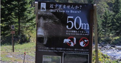 男子跑步遇熊擊！手骨折、腿嚴重受傷 拚命跑1公里等待救援