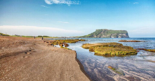 韓濟州島海岸2個月內屢搜出「偽裝茶葉」毒包裹 總量可供107萬人吸食