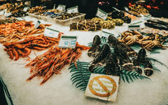 高市「台灣有事」發言延燒！陸方再出手 宣布停止進口日本水產品