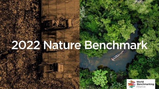 減碳熱潮下被遺忘的生物多樣性風險！首份Nature Benchmark榜單透露了什麼？