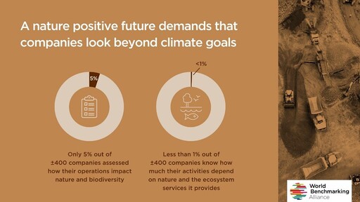 減碳熱潮下被遺忘的生物多樣性風險！首份Nature Benchmark榜單透露了什麼？