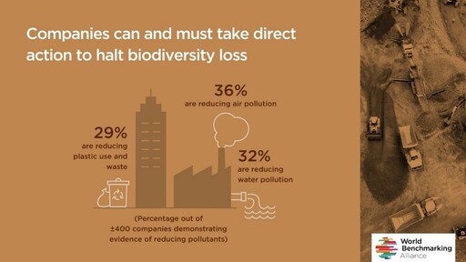 減碳熱潮下被遺忘的生物多樣性風險！首份Nature Benchmark榜單透露了什麼？