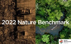 減碳熱潮下被遺忘的生物多樣性風險！首份Nature Benchmark榜單透露了什麼？
