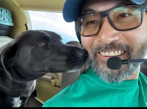 拯救將被安樂死小狗！熱心男慘遇空難慘死 2犬奇蹟生還現況曝