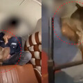 有病？印度飼主放任比特犬追咬男童 全程「拍片大笑」為吸流量