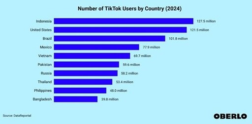 菱視角／2024成TikTok大選年 全球10億用戶能撼動政治版圖