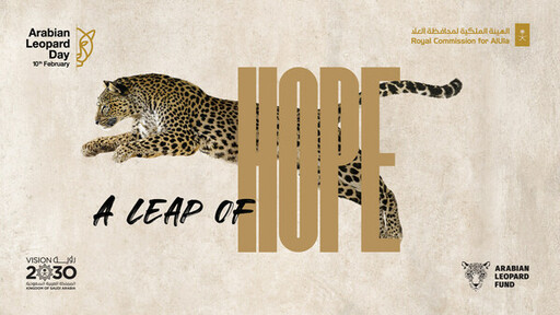 歐拉皇家委員會推出「希望之躍」活動，慶祝國際阿拉伯豹日，旨在加強全球對保護瀕危大型貓科動物的意識和措施