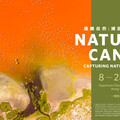 【2024世界地球月】大自然保護協會 TNC攝影比賽作品展「NATURE'S CANVAS攝觸自然： 『捕捉大自然交響樂』」