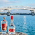 新華絲路：中國白酒生產商五糧液三度入選「外國人喜愛的中國品牌」