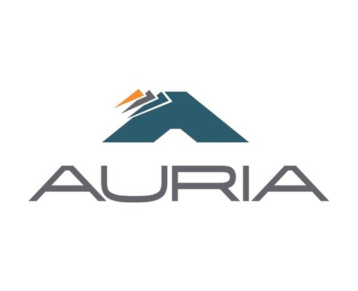 Auria 宣布委任 QiuMing Yang 為總裁兼行政總裁，接替卸任的 Brian Pour