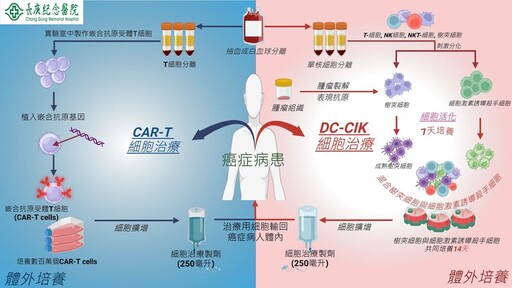 細胞治療在長庚 打造抗癌新希望