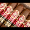 HABANOS, S.A. 在西班牙呈現全球首發：H. UPMANN MAGNUM FINITE 2024 限量版