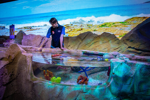 探索悉尼海洋生物水族館的新冒險