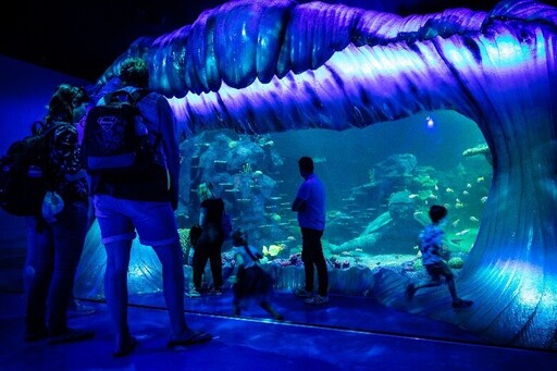 探索悉尼海洋生物水族館的新冒險