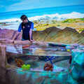 探索悉尼海洋生物水族館的新冒險