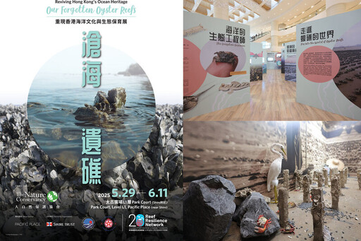滄海遺礁 — 重現香港海洋文化與生態保育