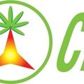 FutureCeuticals, Inc. 宣布同行評審刊物，強調 vitAlign® 對細胞健康和免疫支援的益處
