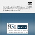 DXC 已獲 Everest Group 的客製化應用程式開發服務 PEAK Matrix® 評估 2025 評為領導者