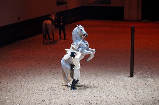 阿布札比皇家馬術藝術學院----全球第五所古典馬術學院正式啟幕
