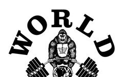 世界健身-KY公告2025年第三季財報：營收創新高，EPS飆漲82.5%