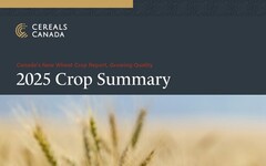 Cereals Canada 發佈《2025 年全新小麥農作物報告》(2025 New Wheat Crop Report)