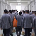 從詐欺罪看監獄人滿為患 輕罪者是否該有「社會勞動」的出路？