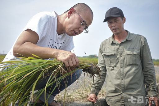 米．食味鑑定士 台灣最懂米專家｜你不知道的行業