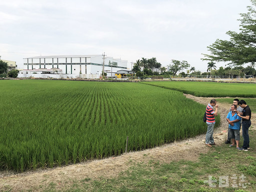 米．食味鑑定士 台灣最懂米專家｜你不知道的行業