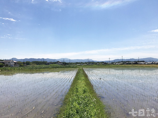 米．食味鑑定士 台灣最懂米專家｜你不知道的行業