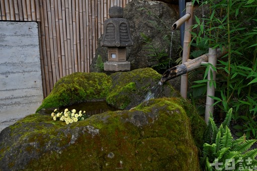 台中秘境景觀餐廳「飛花落院」 詩歌一般的餐景盛宴