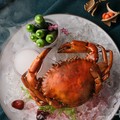 極致鮮美秋旬味！10道蟹蟳料理 一口氣華麗端上桌